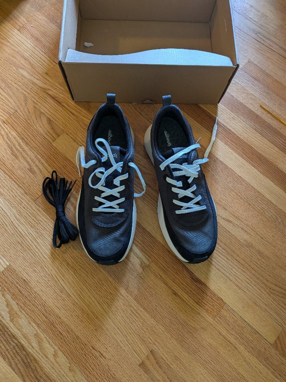 Men's Allbirds Sneakers